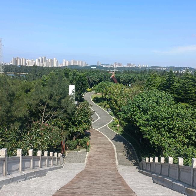 久醉为了谁