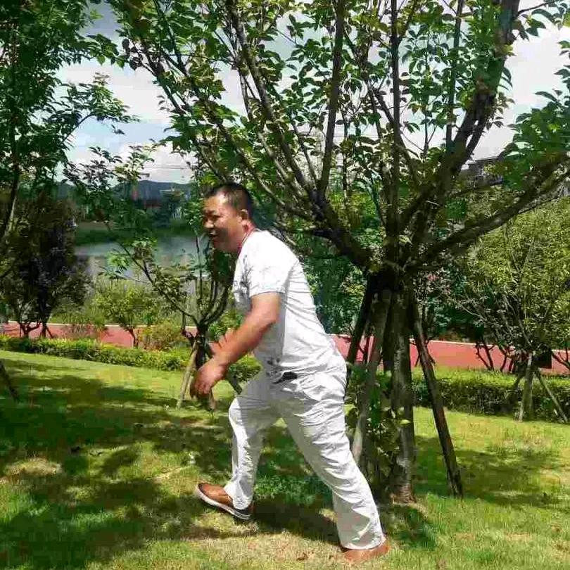 老陈