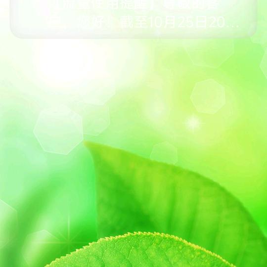 树叶1212