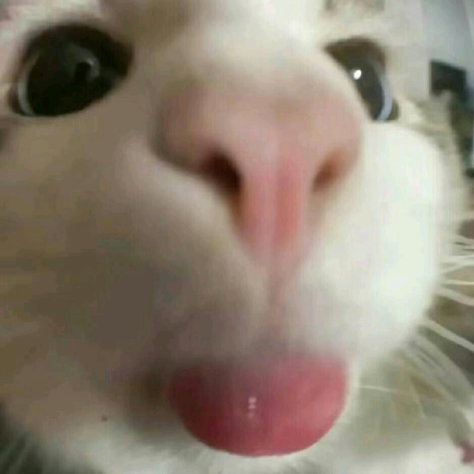 鎏天天