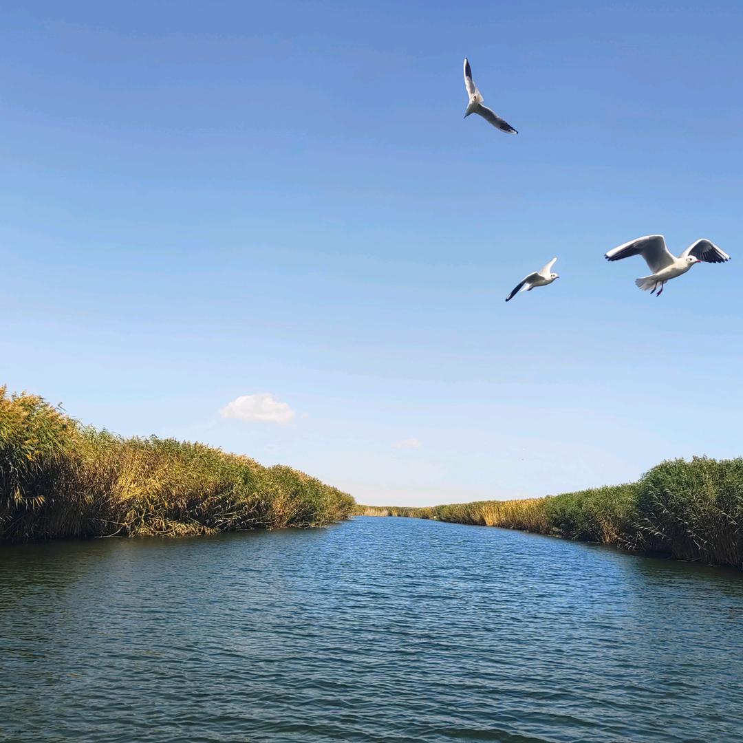 🕊出门靠彭友 }ོꦿృ༊