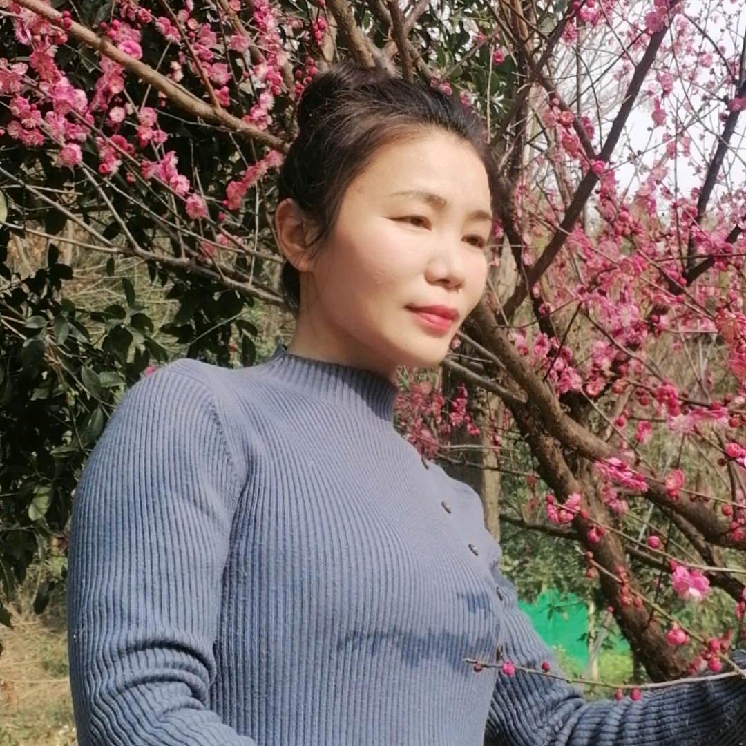 两全其美（黄梅戏迷）