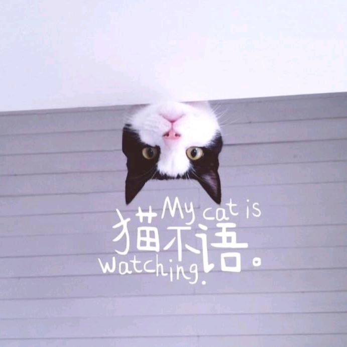 爱犬之梦