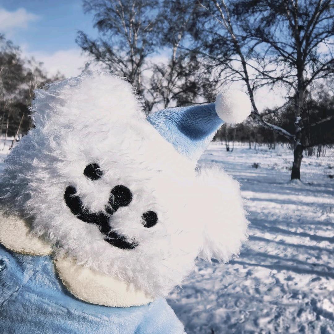 一点点的青柠16度C真的很好喝