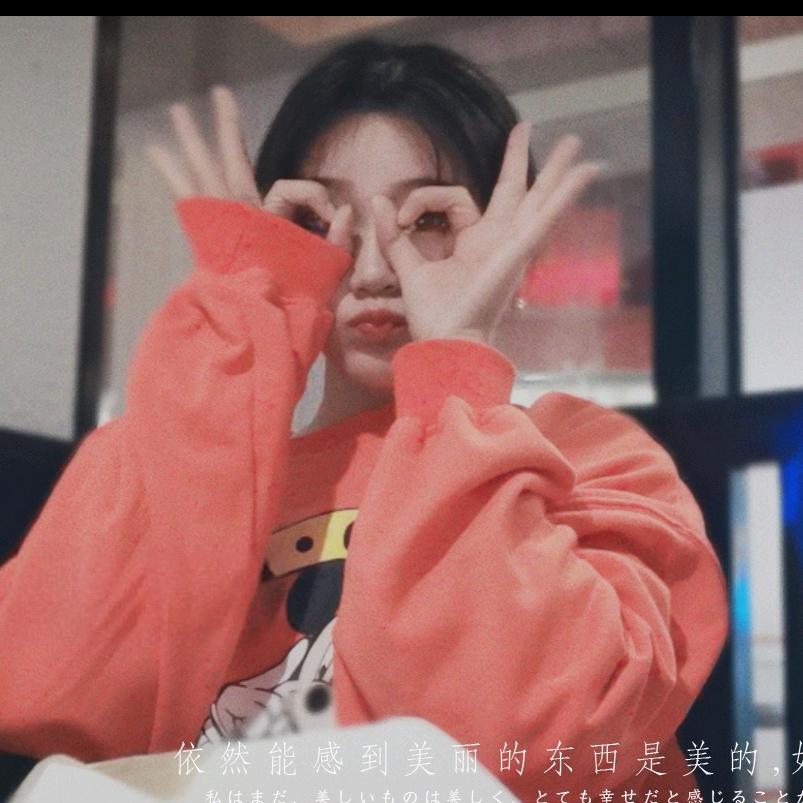 进口蚂蚁