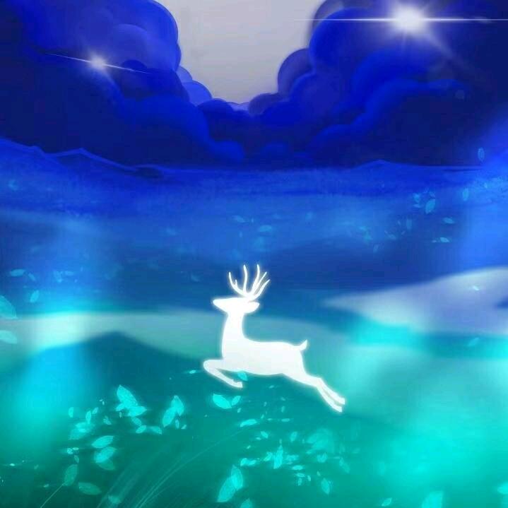 清淡如水