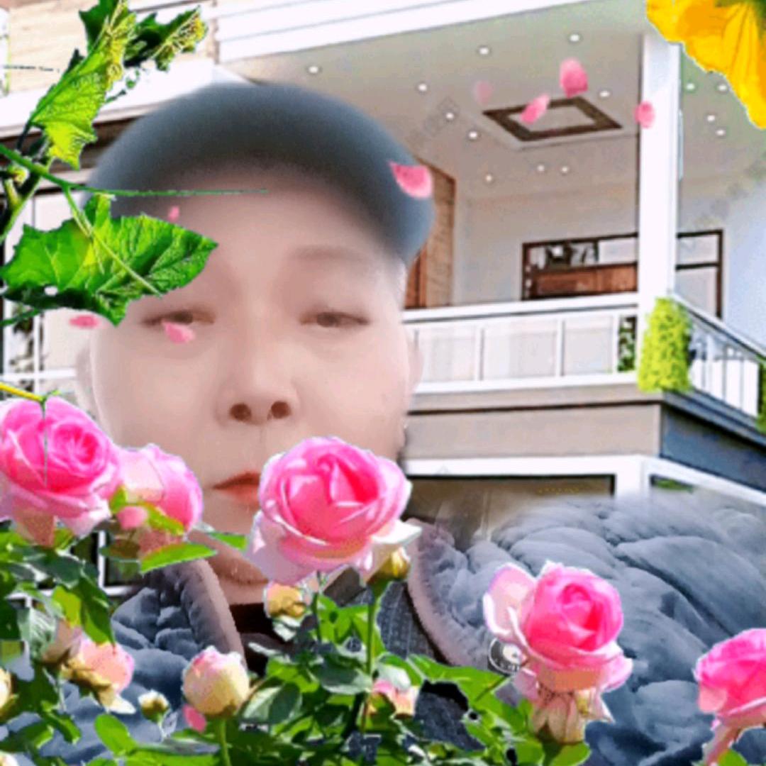 不倒翁