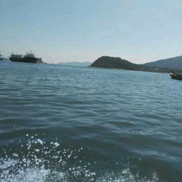 深海埋葬鱼的泪