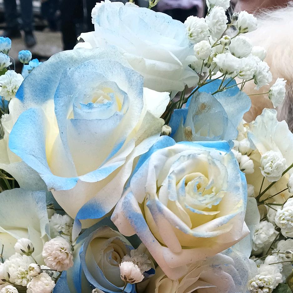 两个孩子的妈妈一平安生平安快乐?