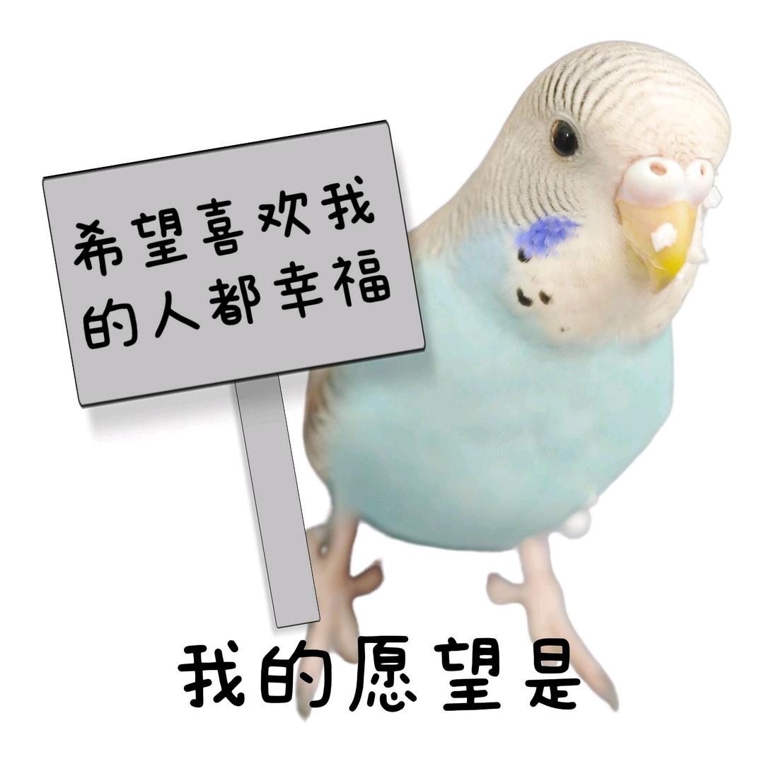 皮小皮-鹦语十级