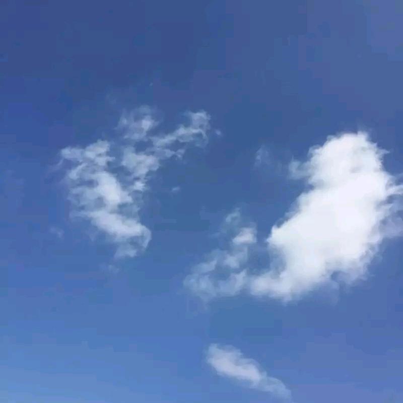 卖火柴的男孩