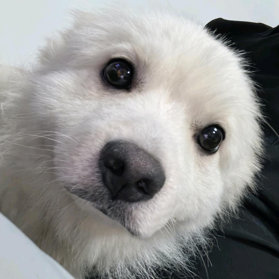 天蓝蓝