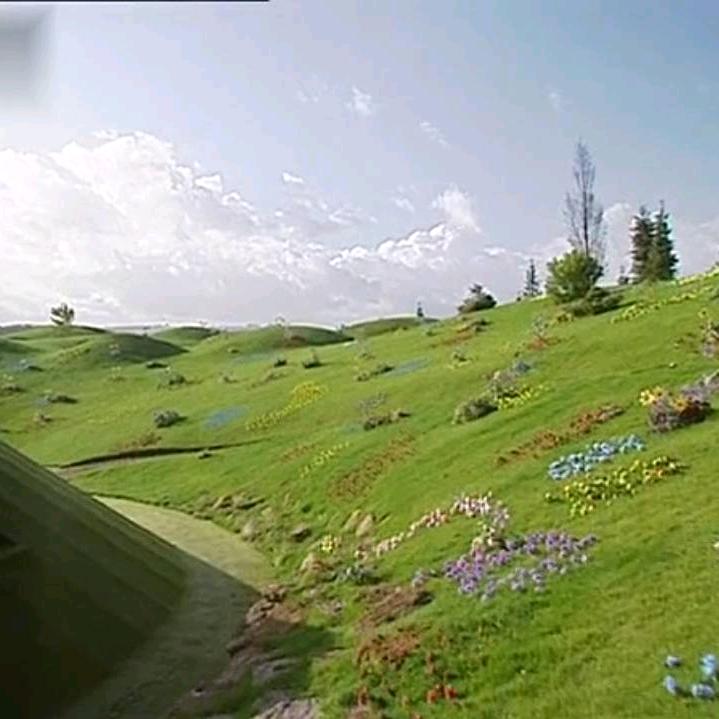 老郭*度饰界