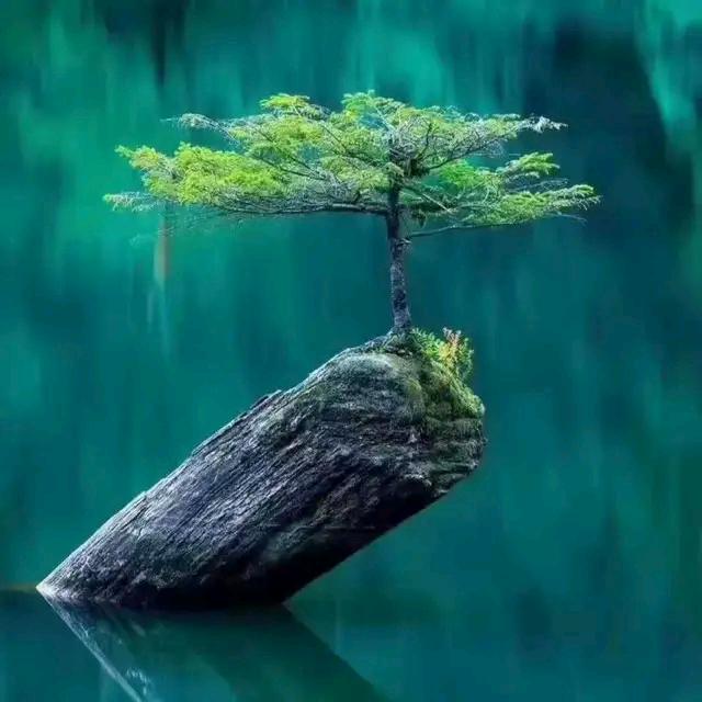 最美的相遇[拒绝私聊]