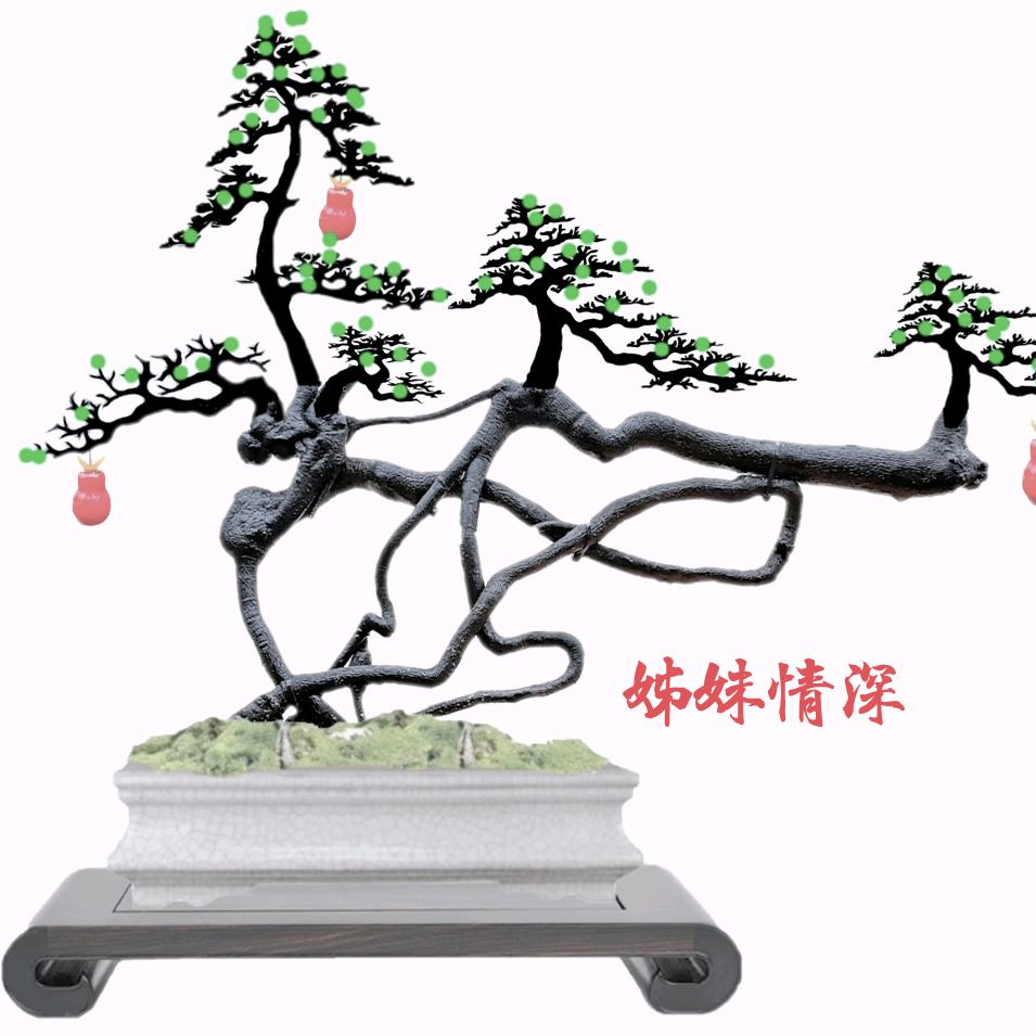 万年寒冰