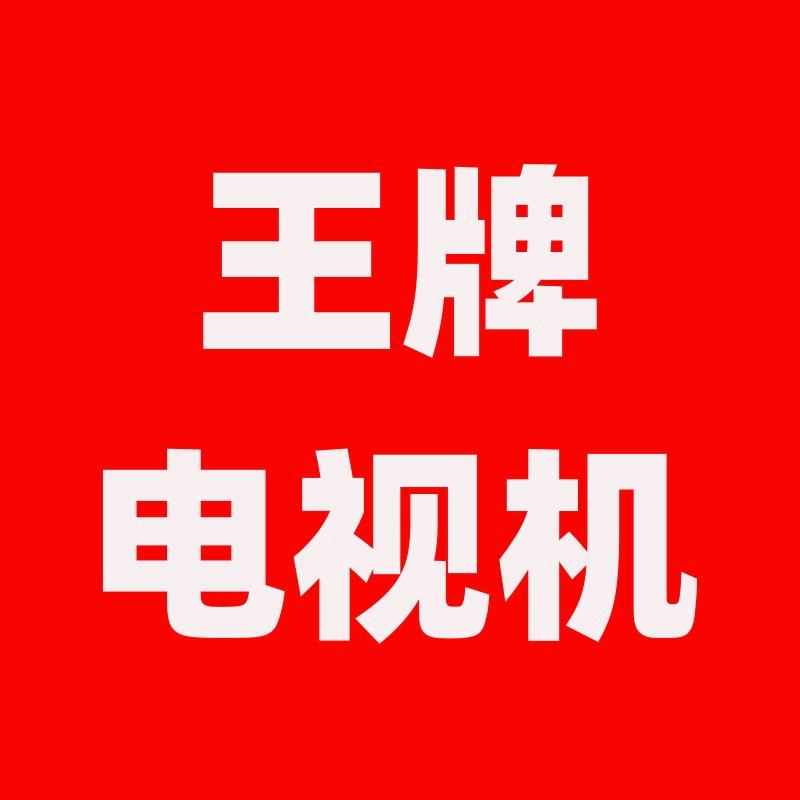 望野电器商行