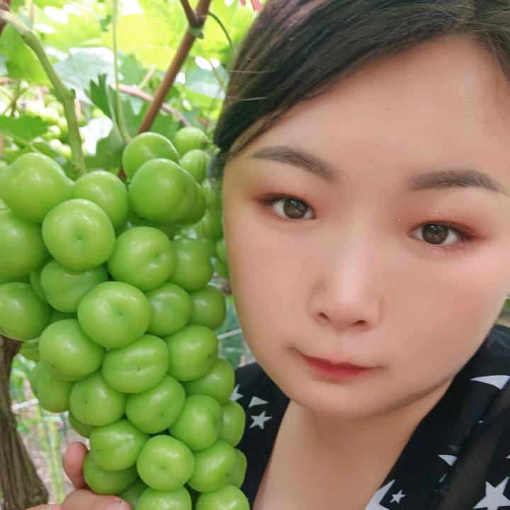 🍊橙子水果小陈