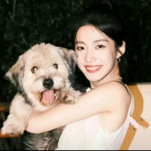 陌生人给我糖不要不要.