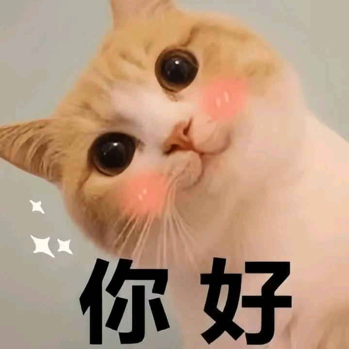 人生百味