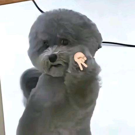 大弟儿