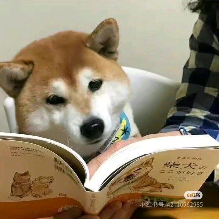 湘桥之前