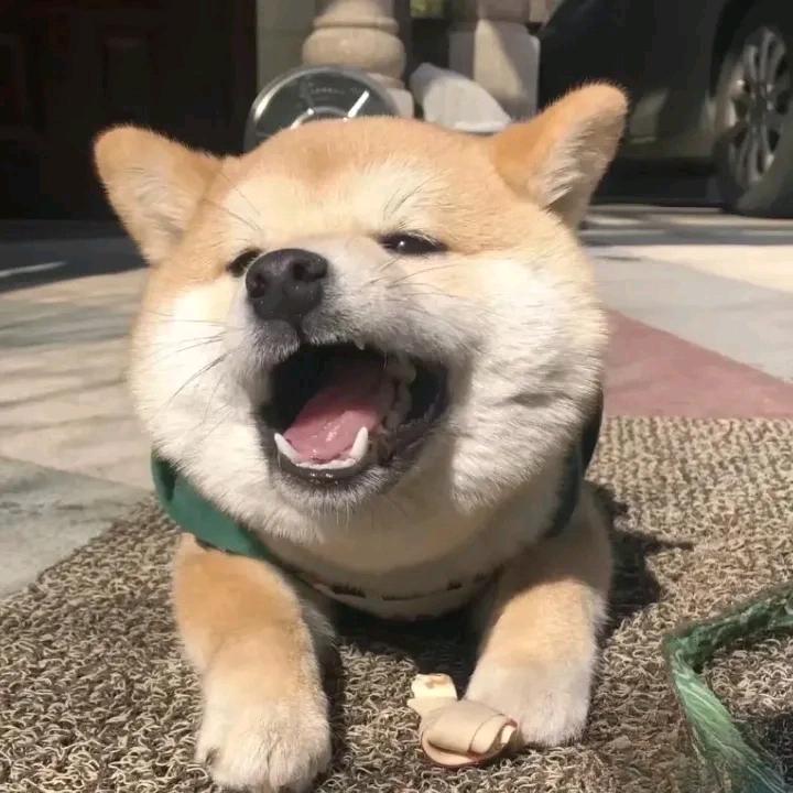 小志在路上