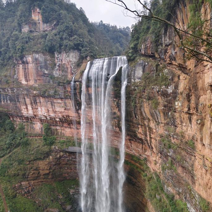 许愿池里的癞蛤蟆