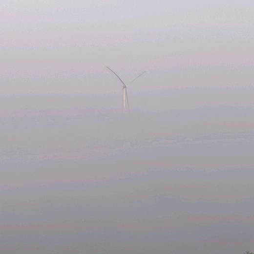 柚子柠檬茶