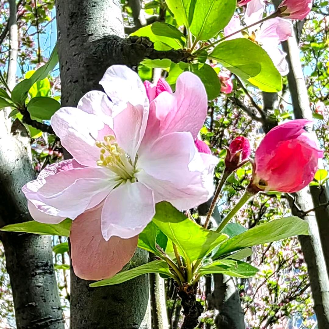 🍀好运来🍀