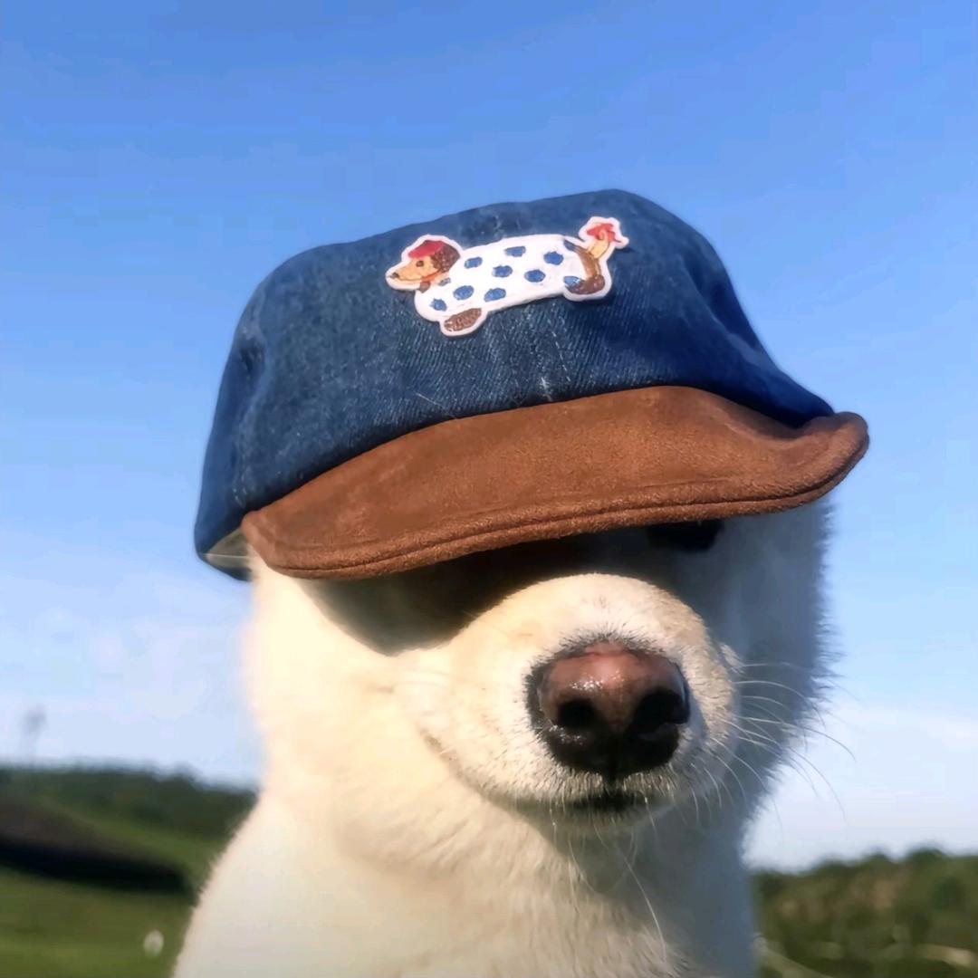 须臾徐❤️‍🔥