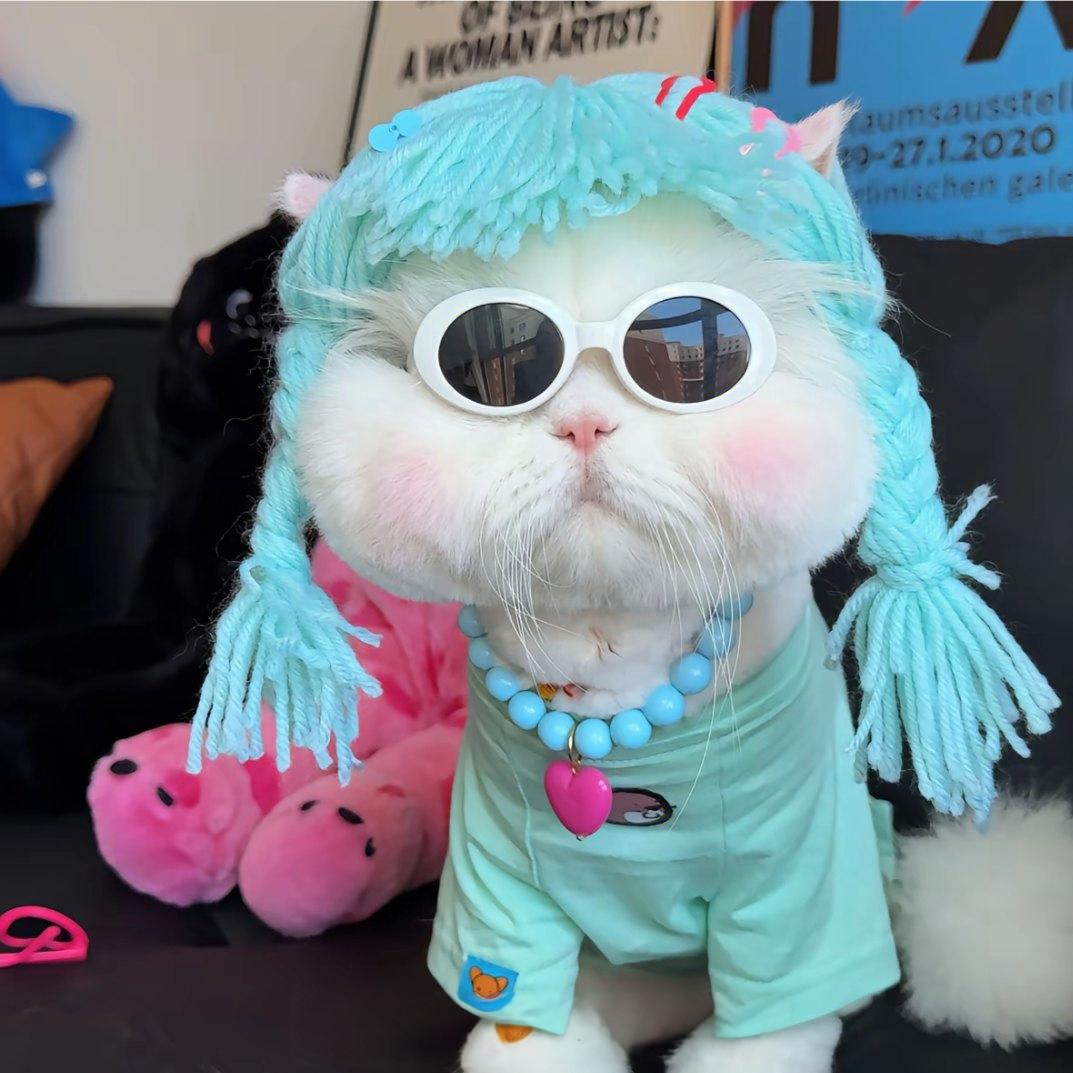樱桃小丸犊子.