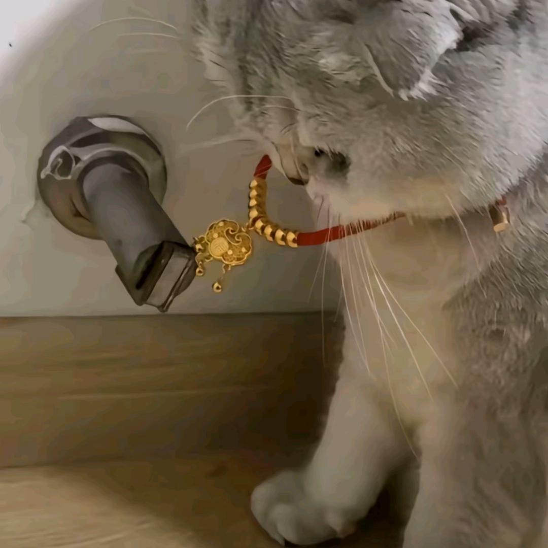 了