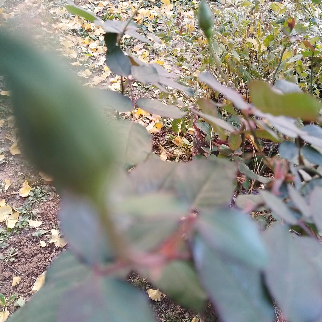 顺其自然，忘过去，重新开始？