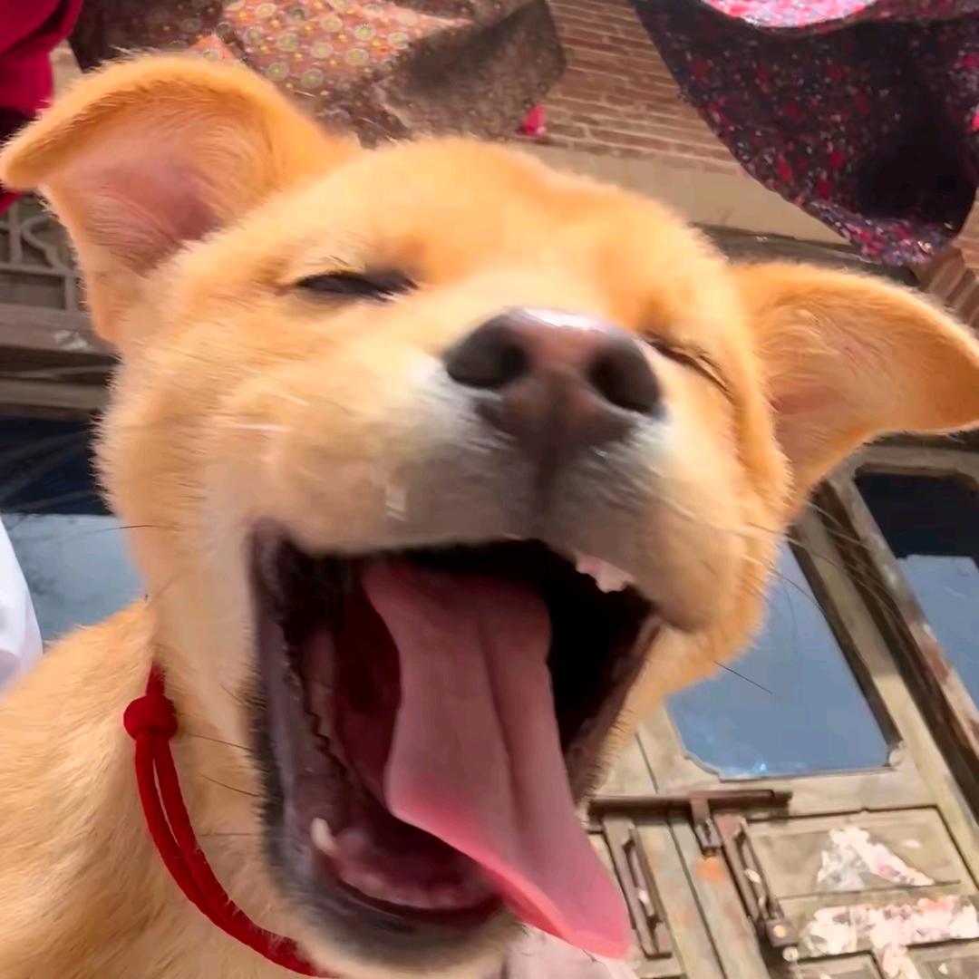 ↹