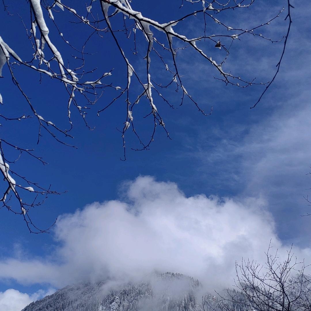 浅浅路过全世界