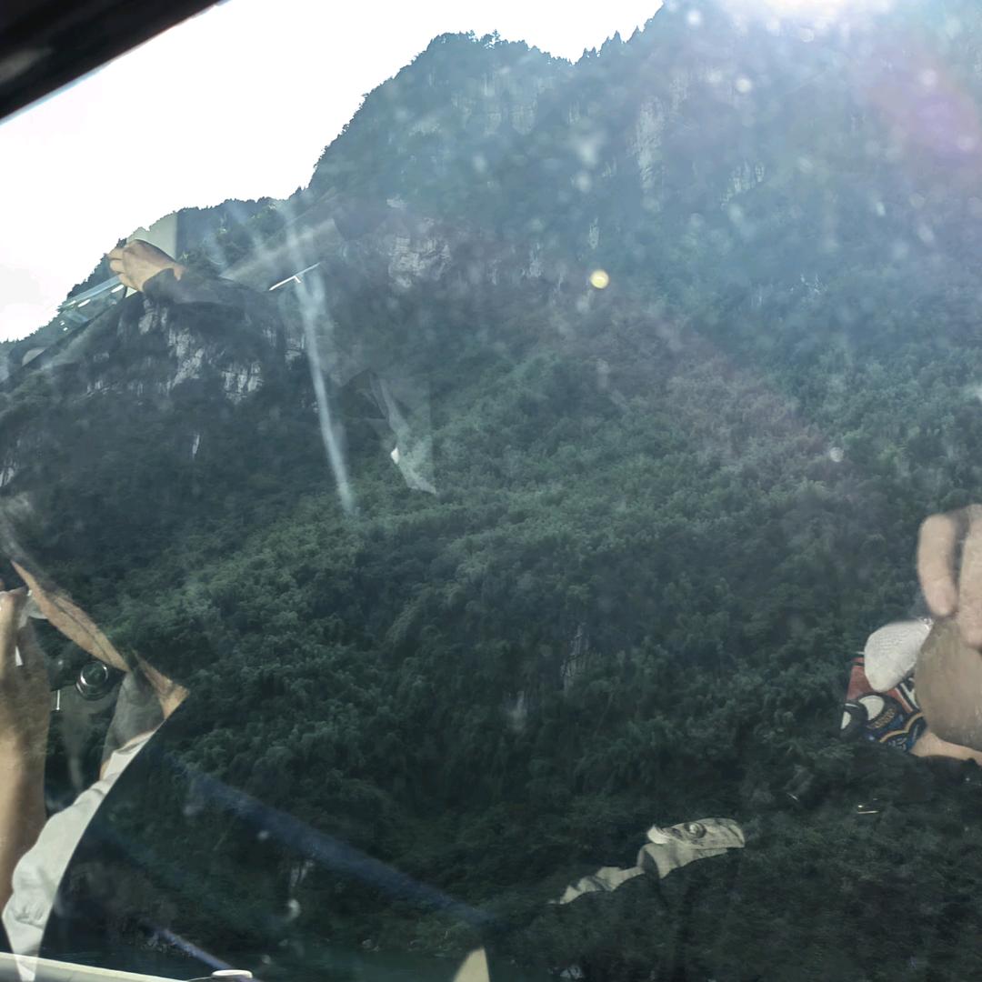 毛毛zca