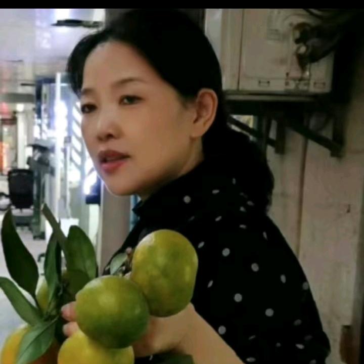 德芳专业修改德芳包子铺德芳中介