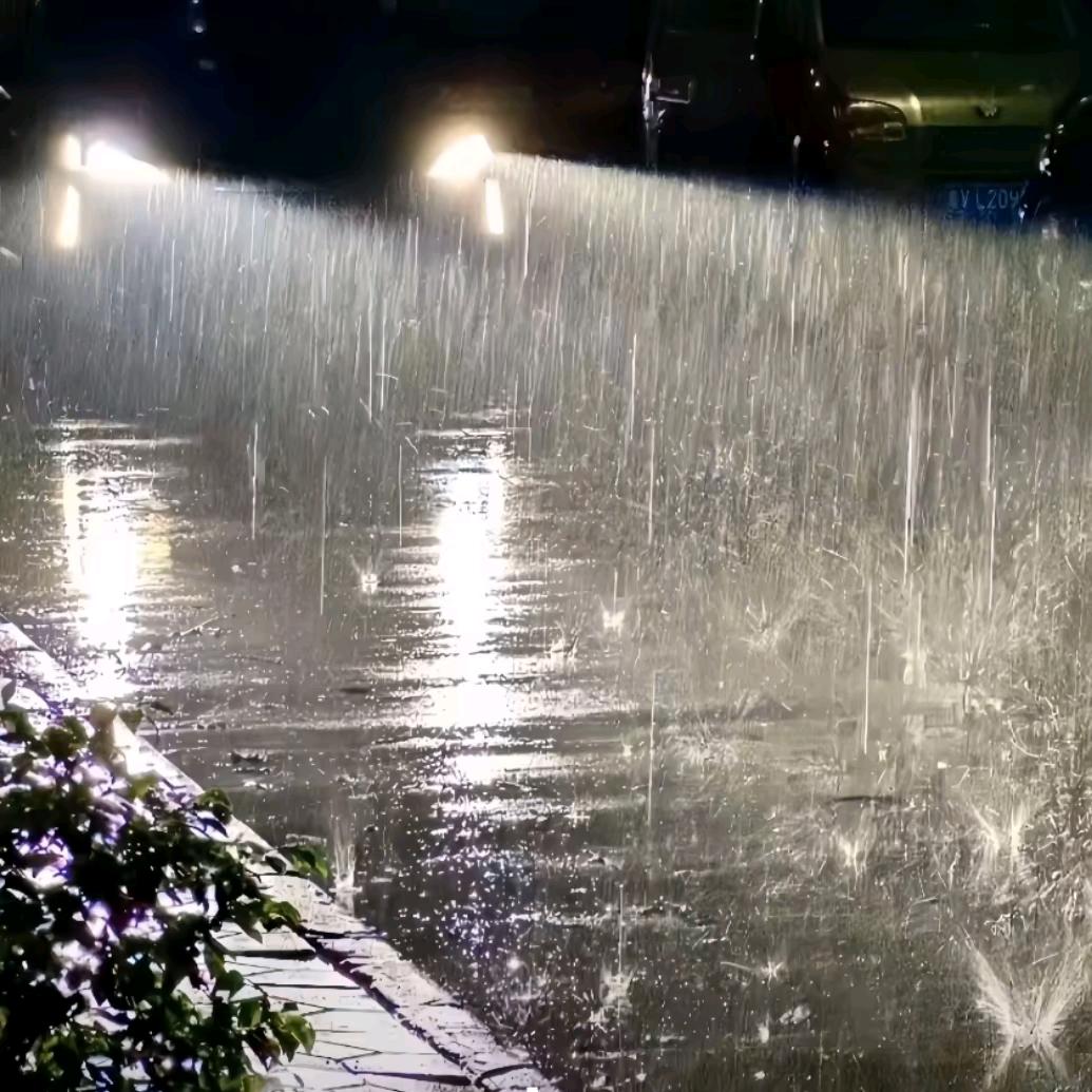 二月红前来求药