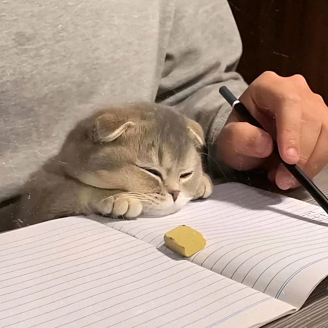 瓜小小不