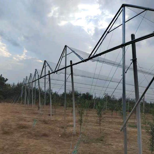 防雹网搭建公司手电一体化