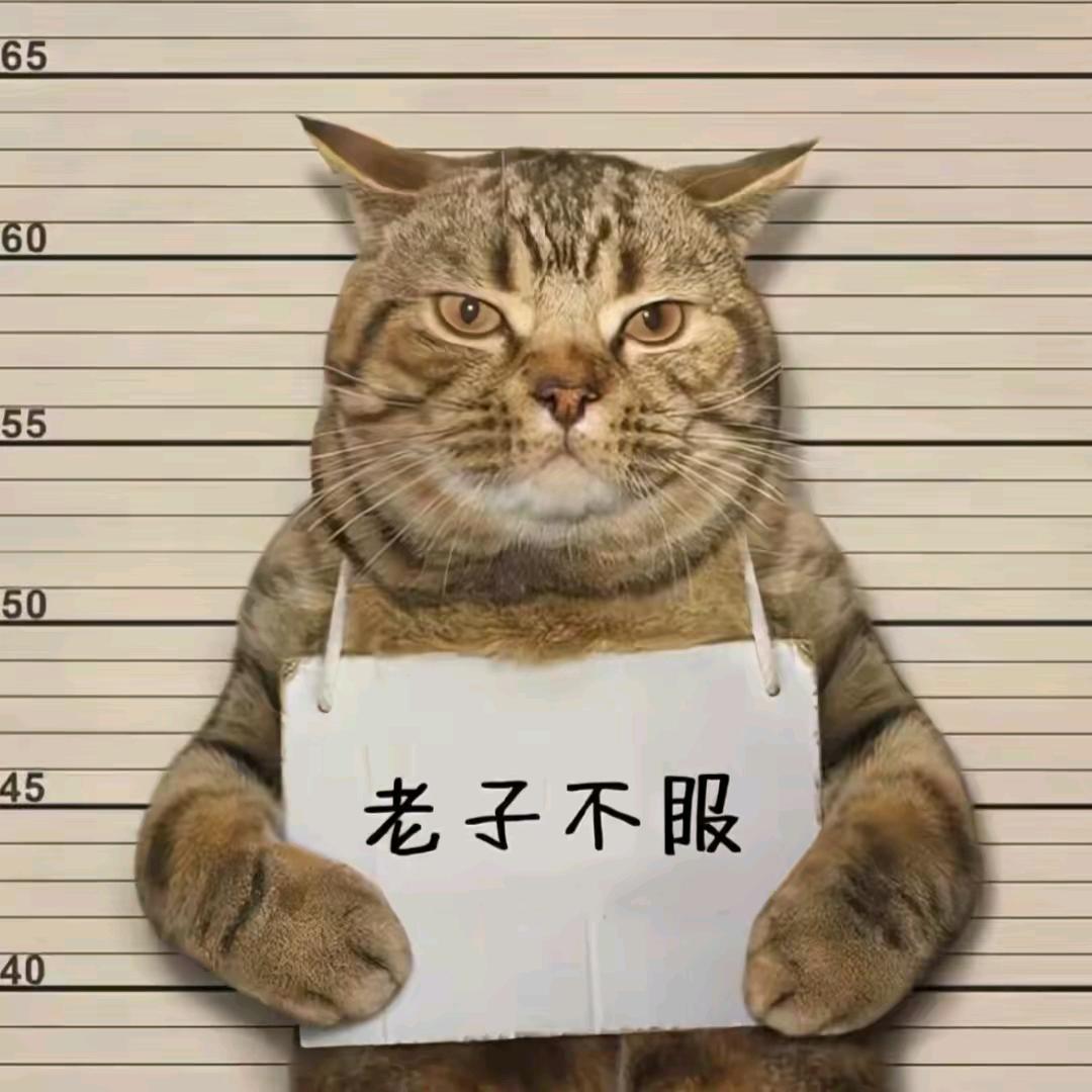 海外某团小子（橱窗有好物）