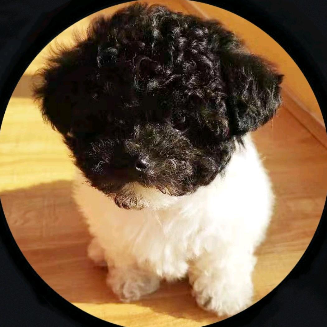 🐾ôкõkÖK🐾