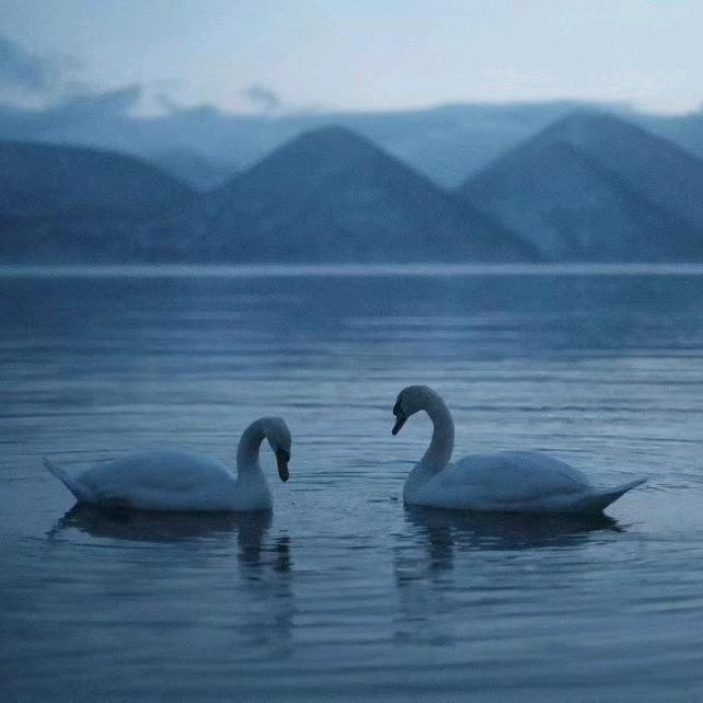 暮色