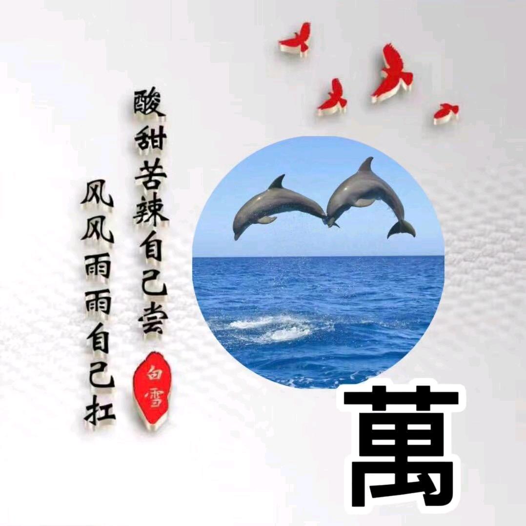 Wjs