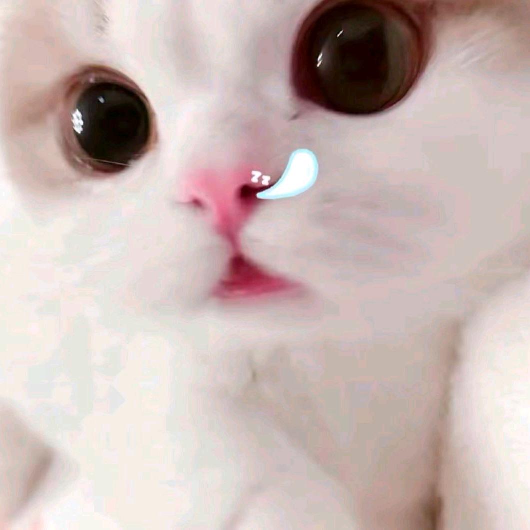 汤圆。。。