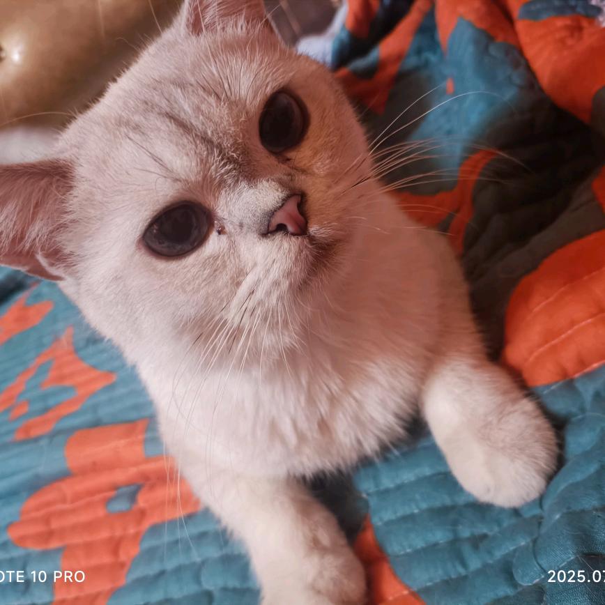 贵州盛源工程咨询有限公司宠粉号