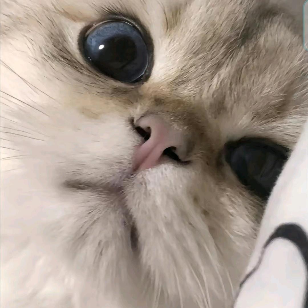 真寻