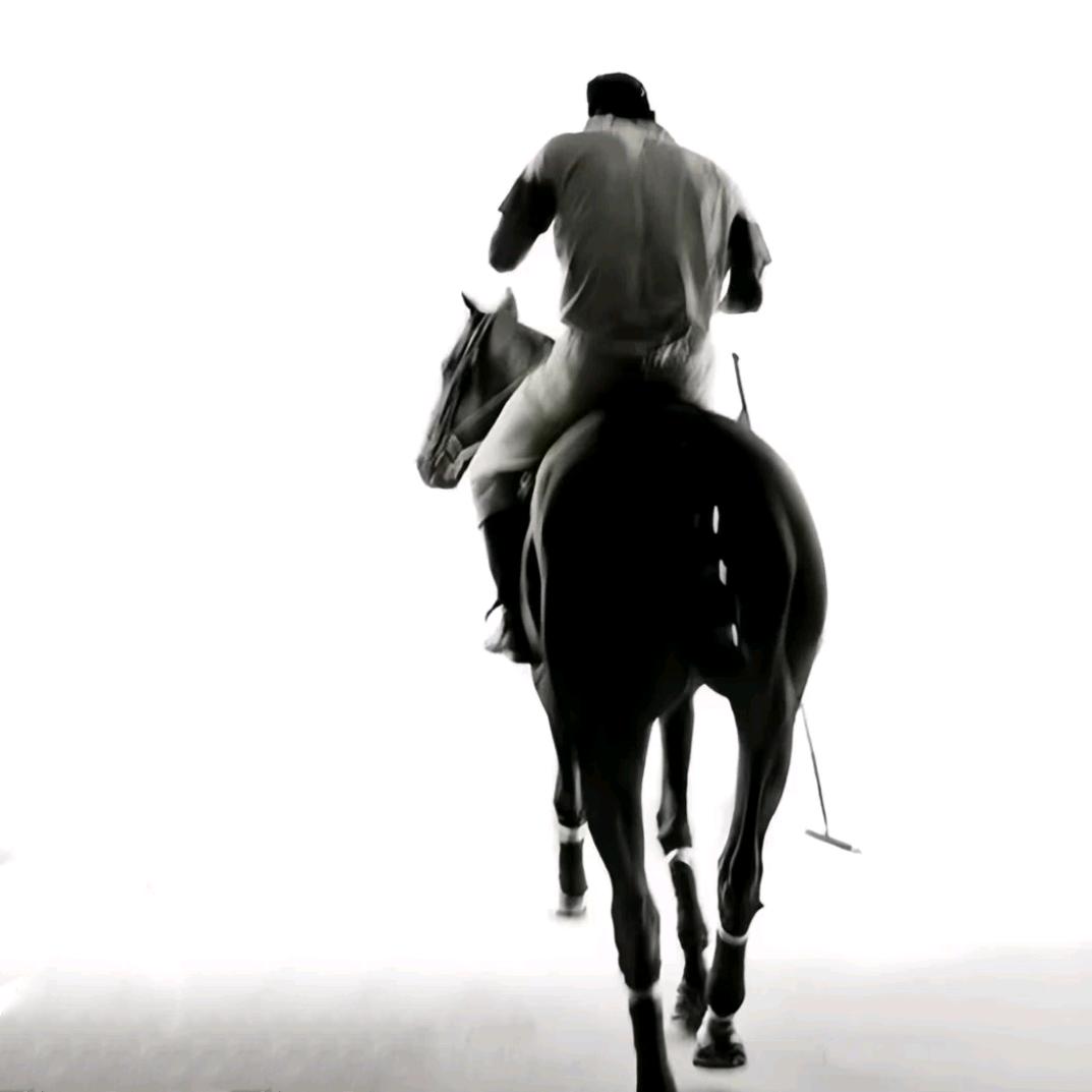 ㅤㅤㅤㅤㅤㅤㅤㅤ