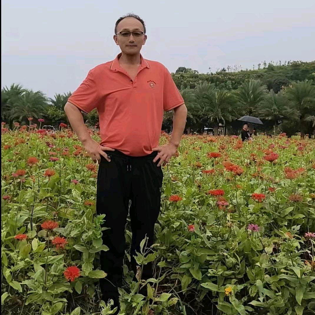 东方不败向明白