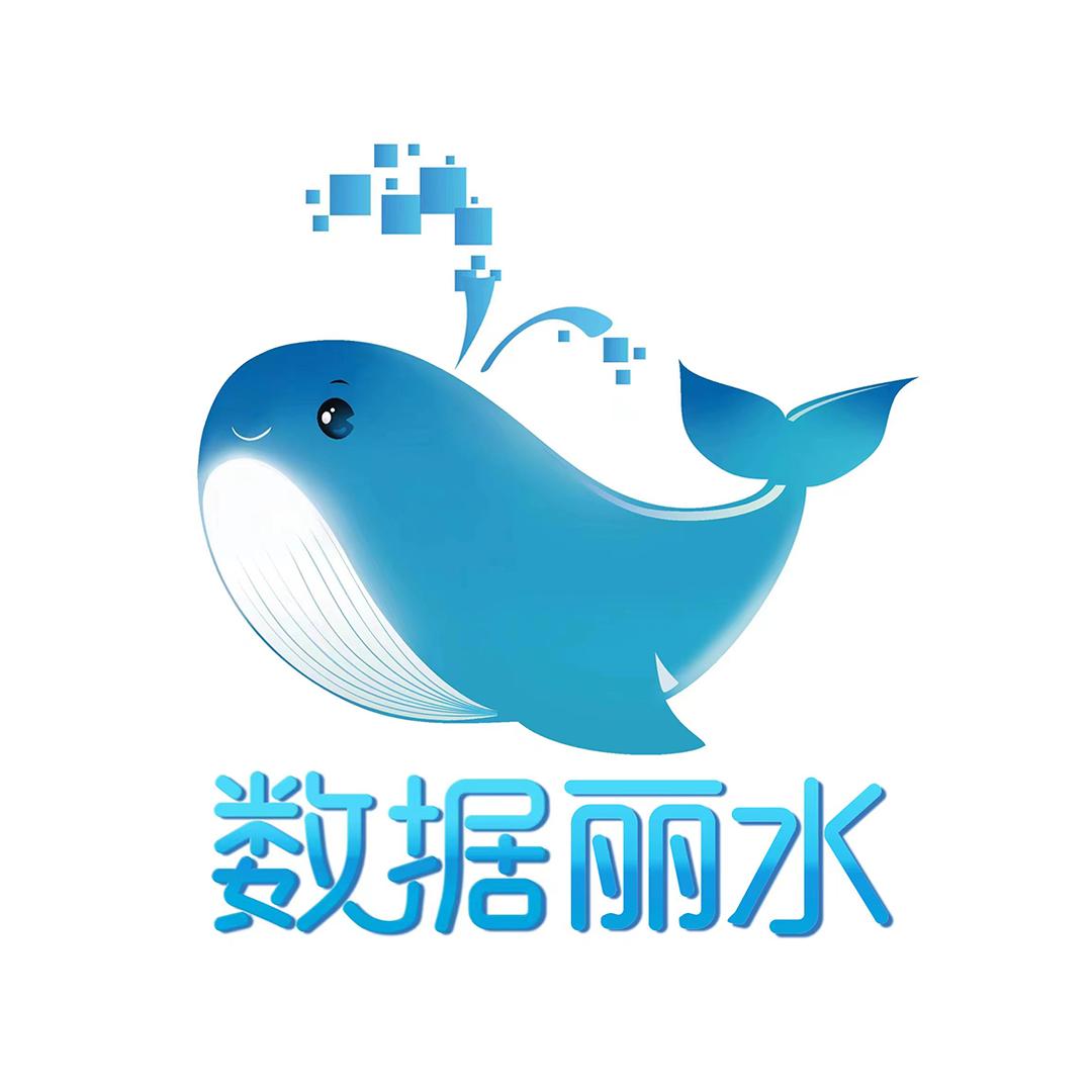 数据丽水